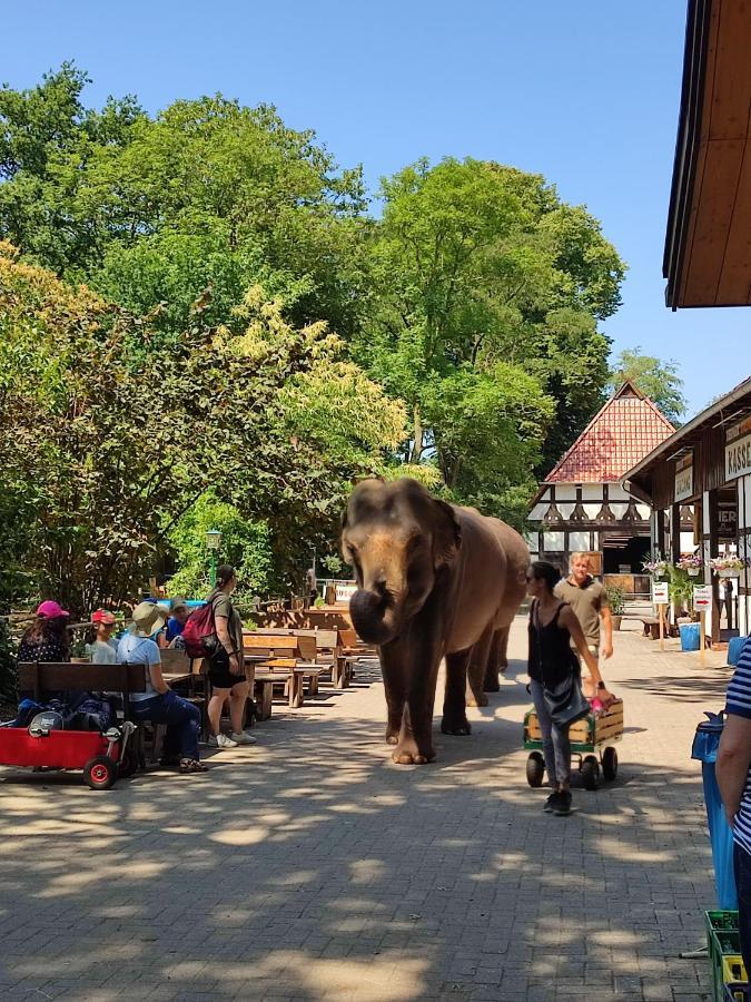 Tierpark Entdeckerhaeuser Wagenfeld 外观 照片