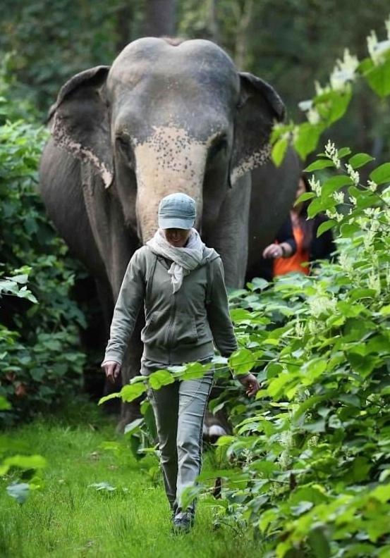 Tierpark Entdeckerhaeuser Wagenfeld 外观 照片
