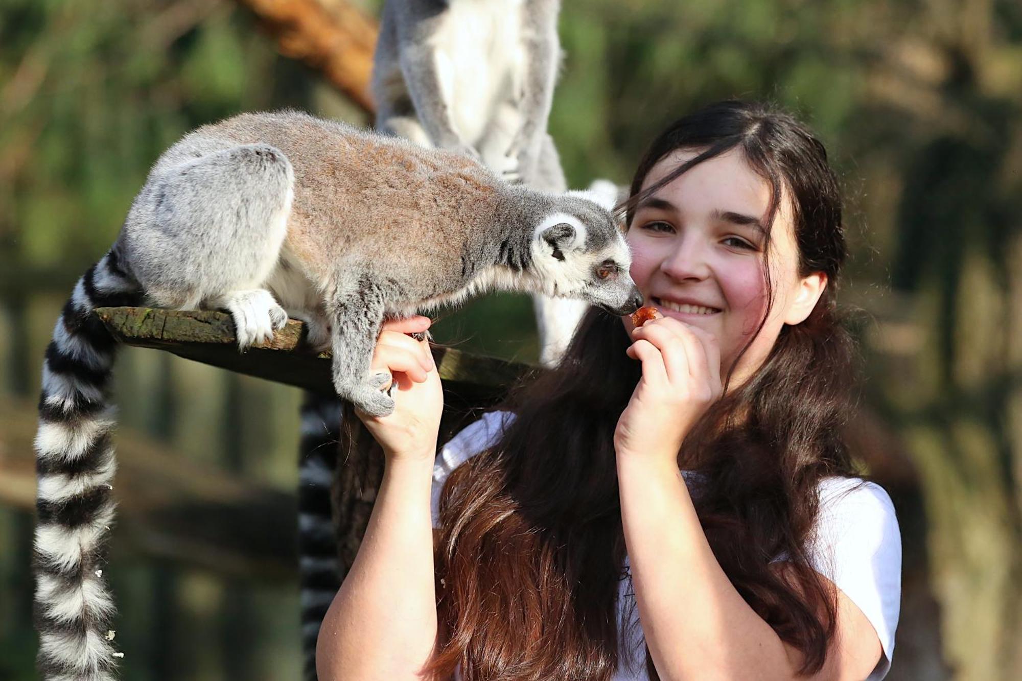 Tierpark Entdeckerhaeuser Wagenfeld 外观 照片